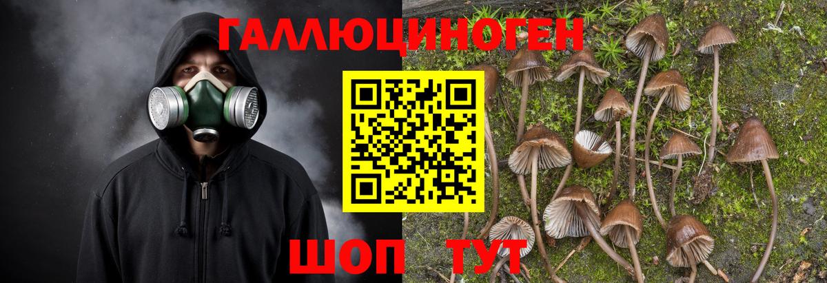 продажа наркотиков  Псилоцибиновые грибы Magic Shrooms  Вход с VPN  Саранск 